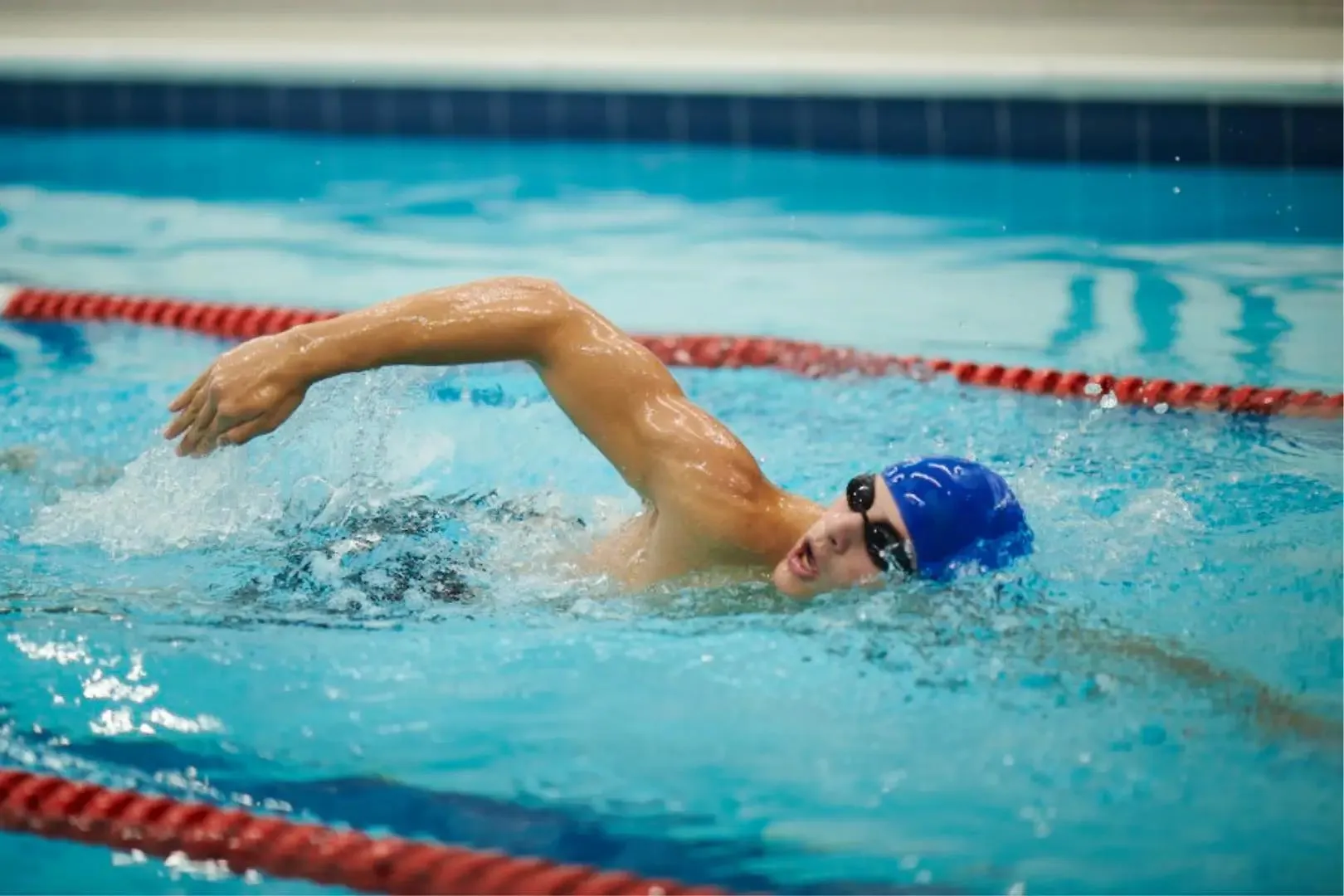 Adult Swim Stroke Technique